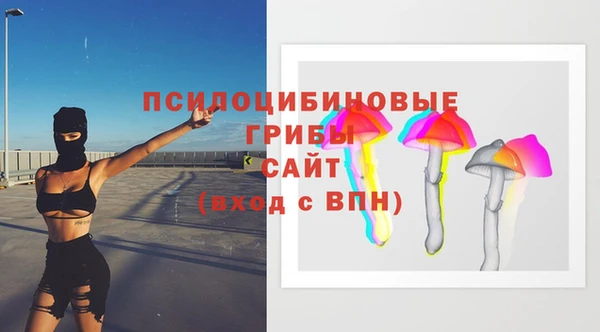 экстази Богородицк