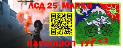 гидра Ставрополь