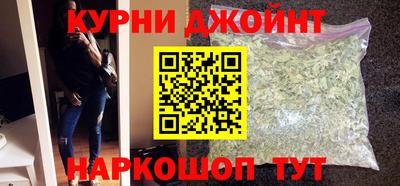 гидра Ставрополь