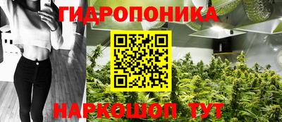 гидра Ставрополь