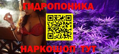 ГАЛЛЮЦИНОГЕННЫЕ ГРИБЫ Тара