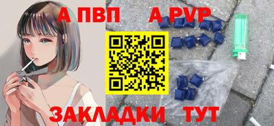 гидра Ставрополь