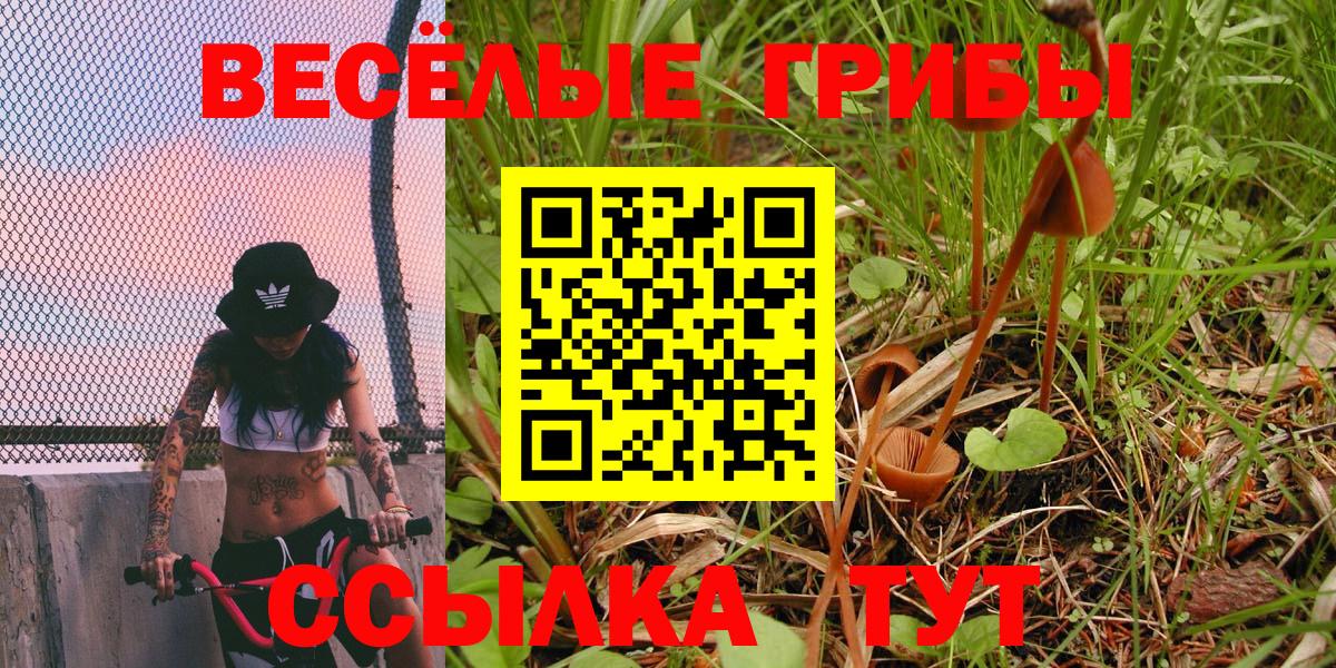 Каннабис  ГАШ  Вход с VPN  ГАШ  КОКАИН  Славгород  Меф МЯУ МЯУ кристаллы  МЕТАМФЕТАМИН 