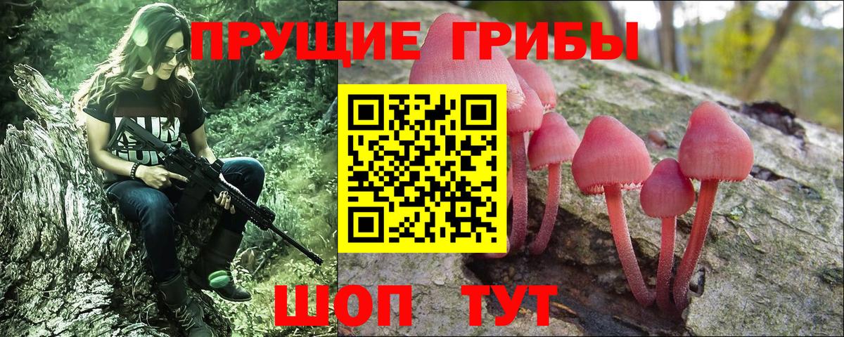 Галлюциногенные грибы мухоморы  Вход с VPN  Славгород 