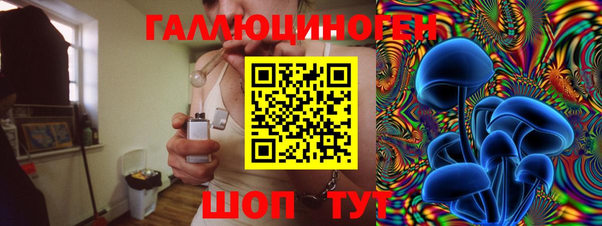Галлюциногенные грибы Psilocybe Славгород